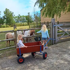  Vakantiehuis Vacation Mechelhof België